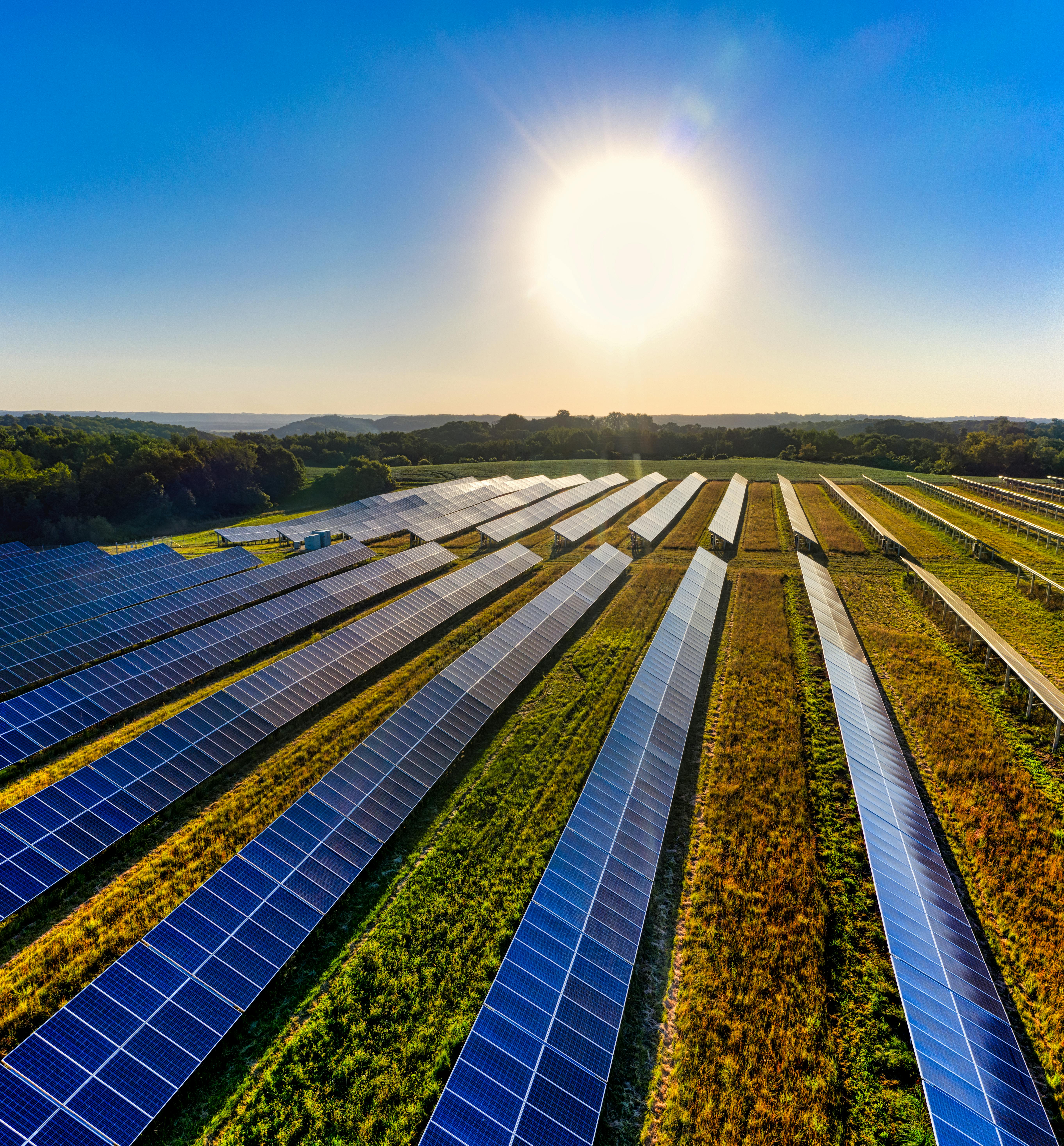 Paneles solares fotovoltaicos para sector agrícola y agroindustria
