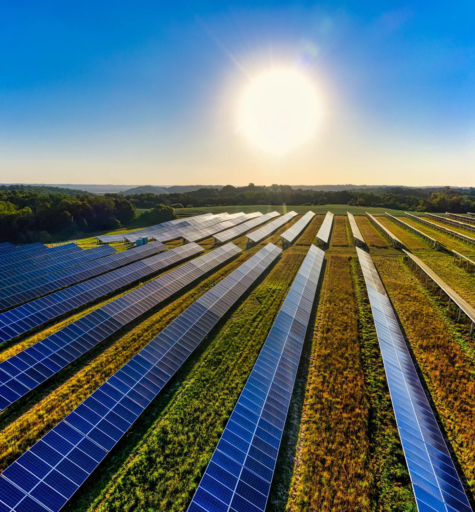 Paneles solares fotovoltaicos para sector agrícola y agroindustria